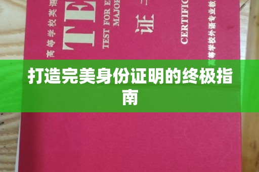 正定打造完美身份证明的终极指南